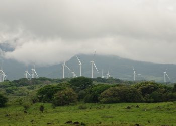 What Does “Net-Zero Emissions” Mean? 6 Common Questions, Answered