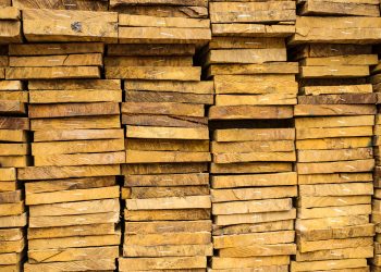 Buyer Beware: One Study Finds 62% of Wood Products Mislabeled