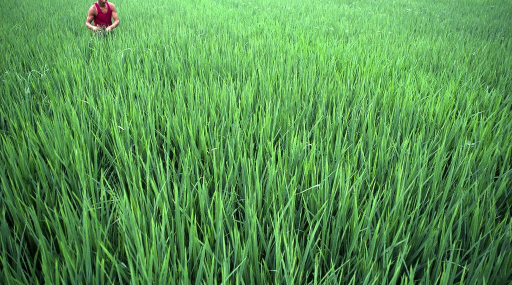 Not Just CO2: China’s Efforts on Lesser Known Greenhouse Gases Critical to Stabilizing the Climate