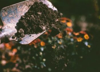 Top 5 Wonderful Eco-Friendly Gardening Ideas