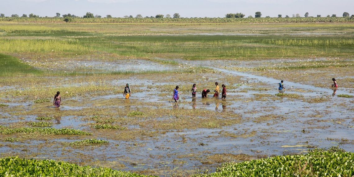 Climate Change and Migration in Vulnerable Countries