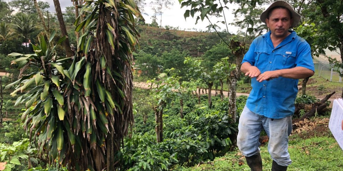 Coffee Farmers in Costa Rica Are Brewing Up Solutions to Climate Change and Competition