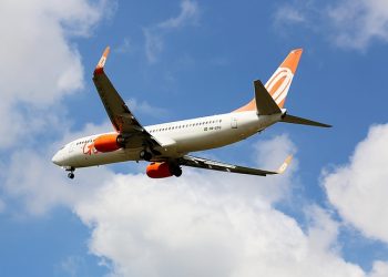 This Month in Climate Science, August 2019: Persistent Summers, Bumpier Plane Rides and More Heat Deaths