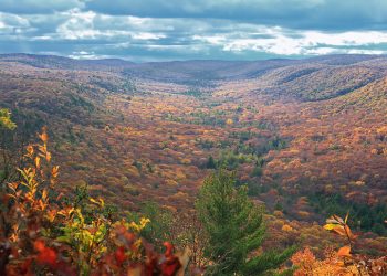 Pennsylvania is Joining RGGI. Here’s Why That Matters