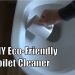 How to make Eco-Friendly toilet cleaner. Quick, cheap and easy!