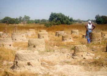 Delhi Declaration: Countries agree to make ‘land degradation neutrality’ by 2030, a national target for action