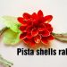 Pista shells rakhi / eco-friendly way of making Rakhi / Rakhi special