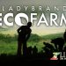 LADYBRAND ECO-FARM (SOUTH AFRICA) | Lingap Sa Mamamayan