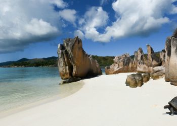 FROM THE FIELD: ‘Blue’ finance flows in the Seychelles