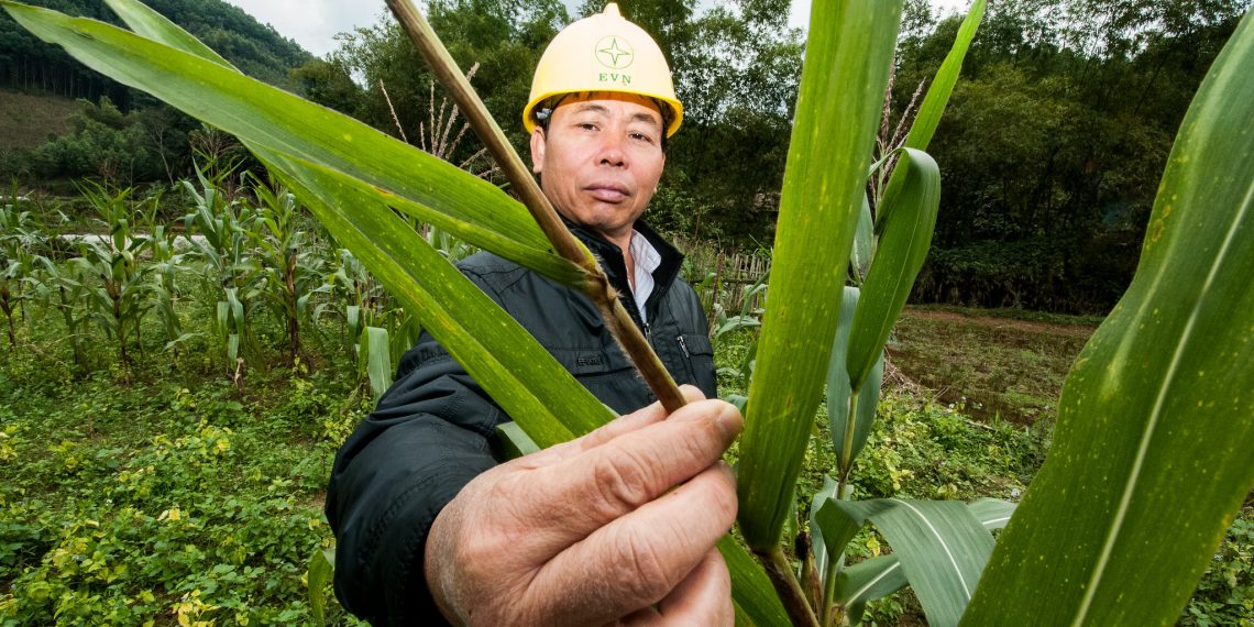 So Far, Green Bonds Fail to Raise Much Money for Resilience. The Climate Resilience Principles Aim to Change That