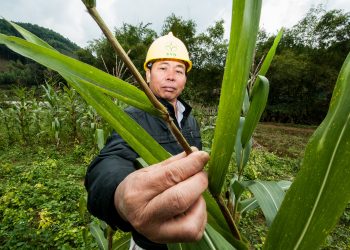 So Far, Green Bonds Fail to Raise Much Money for Resilience. The Climate Resilience Principles Aim to Change That