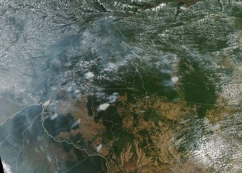 Brazil’s Fire Ban Correlates to a Reduction in Amazon Wildfires. The Ban Lifts Today.