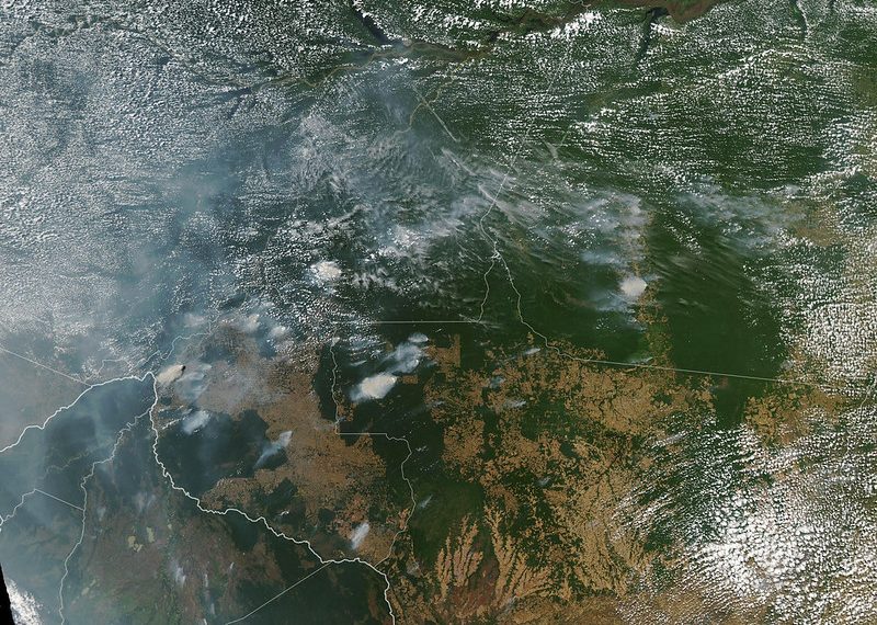 Brazil’s Fire Ban Correlates to a Reduction in Amazon Wildfires. The Ban Lifts Today.