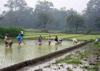 3 Things to Know for Designing Indonesia’s Next Steps on Climate Change