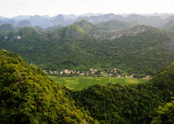 Deforestation Threatens the Mekong, but New Trees Are Growing in Surprising Places