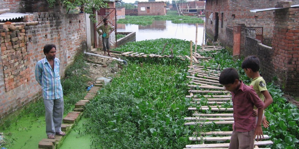In Gorakhpur, India, Citizens Use Nature to Prevent Floods