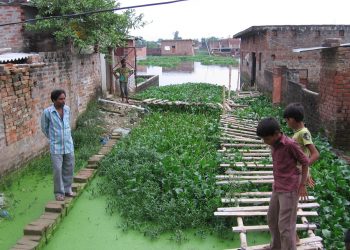 In Gorakhpur, India, Citizens Use Nature to Prevent Floods