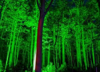 How to Go Green This Halloween