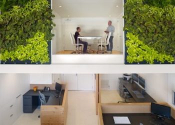 How to Green Your Workspace