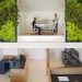 How to Green Your Workspace