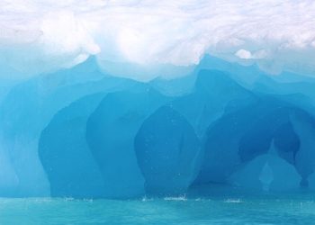 This Month in Climate Science, September 2019: Ocean and Ice Warning; Lost Birds; Pancake Breakfast at Risk?