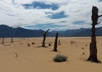 Responding to Day Zero Equitably: Water Crisis Lessons from Cape Town and Chennai