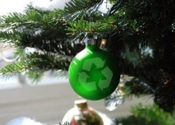 Eco-Friendly Tips Preparing Your House for the Holiday