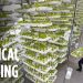 This Farm of the Future Uses No Soil and 95% Less Water