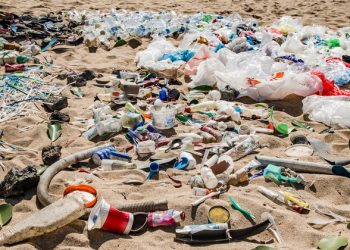 Microplastics, microbeads and single-use plastics poisoning sea life and affecting humans