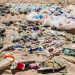 Microplastics, microbeads and single-use plastics poisoning sea life and affecting humans