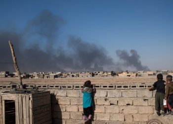 Step up action to protect the planet during wartime: UN environment chief