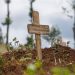 Ebola emergency chief decries new attacks on frontline staff, after DR Congo worker death
