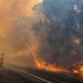 Australia wildfires: communities must stay vigilant, urges UN weather agency