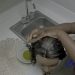 Matcha Green Tea Hair Mask – Tutorial