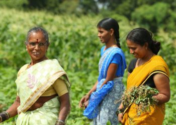 Thursday’s Daily Brief:  Envoy heads for Bolivia, ICC on Myanmar, dignity for sanitation workers, sterilizing mosquitoes