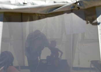 Zero new confirmed cholera cases in Haiti for nine months: UN envoy