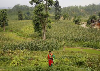 Over $39 million earmarked by UN-backed fund to combat effects of climate change in Nepal