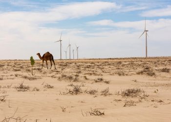 COP25: UN climate change conference, 5 things you need to know