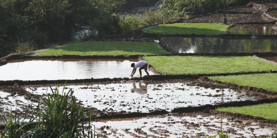 PODCAST: Solutions to the Global Water Crisis