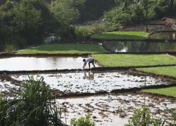 PODCAST: Solutions to the Global Water Crisis