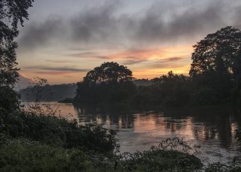 6 Barriers to Protecting and Restoring Forests – and Strategies to Overcome Them