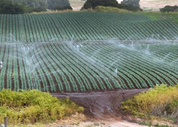 Water Could Limit Our Ability to Feed the World. These 9 Graphics Explain Why