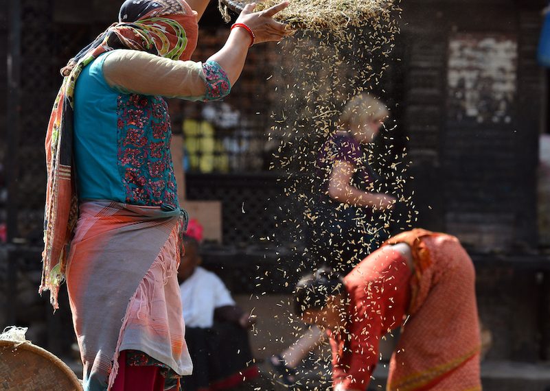 There’s No Time, or Food, to Waste