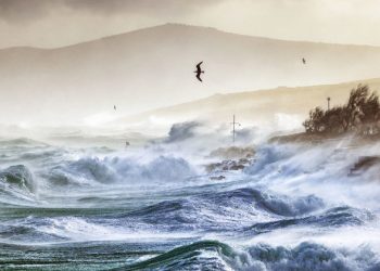 Decade ending 2019 likely to be hottest on record