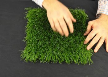 HG Products – Premiere SX