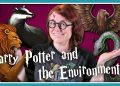 Which Harry Potter House Is The Most Environmentally Friendly?