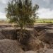 Soil erosion must be stopped ‘to save our future’, says UN agriculture agency