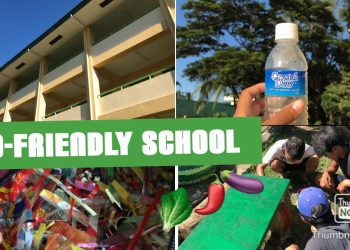 Eco-Friendly School