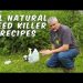 3 Homemade Natural Weed Killer Recipes Tested