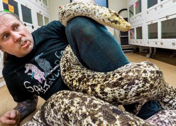 WORLDS LARGEST AND MOST COLORFUL SNAKES!! | BRIAN BARCZYK